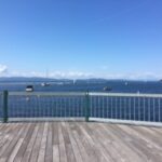 A wooden deck with a blue railing overlooking a calm ocean with boats in the distance.