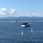 View of a marina with sailboats and motorboats docked on a calm body of water, with a distant mountain range under a partly cloudy sky.