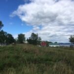 Landscape view of a grassy field with scattered trees, a farm building in the distance, and a partly cloudy blue sky.