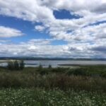 Green view of field along with lake and sky filled with clouds