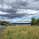 field with road on the left side with clouds on the sky