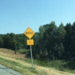 A photo of a yellow diamond-shaped road sign. The sign is located on the side of a rural highway. The sign reads "Watch for Deer."