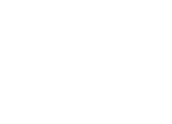 Louisiana state outline