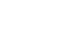 New Mexico state outline